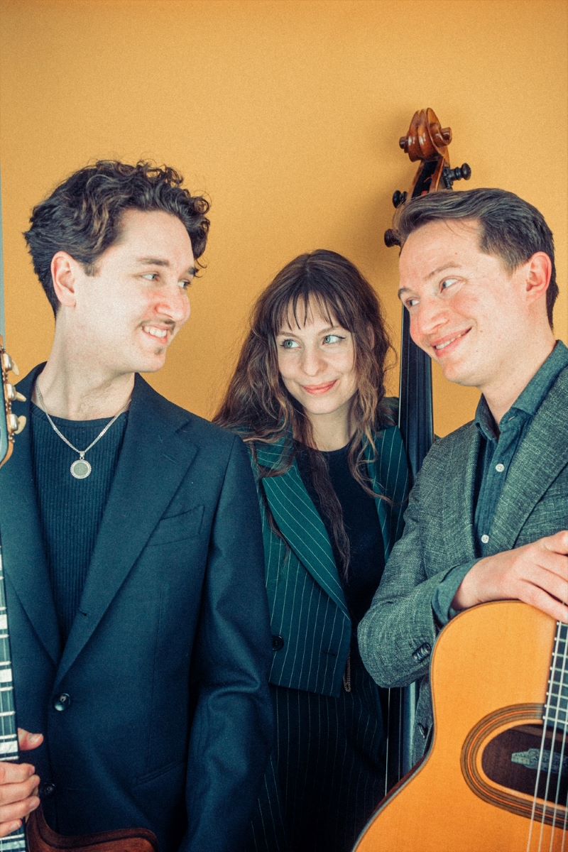 Bild "Konzerte:Trio_19_2-800.jpg"